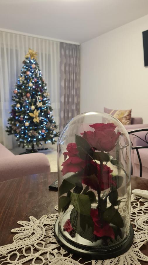 Apartament Violeta Gura Humorului Eksteriør billede