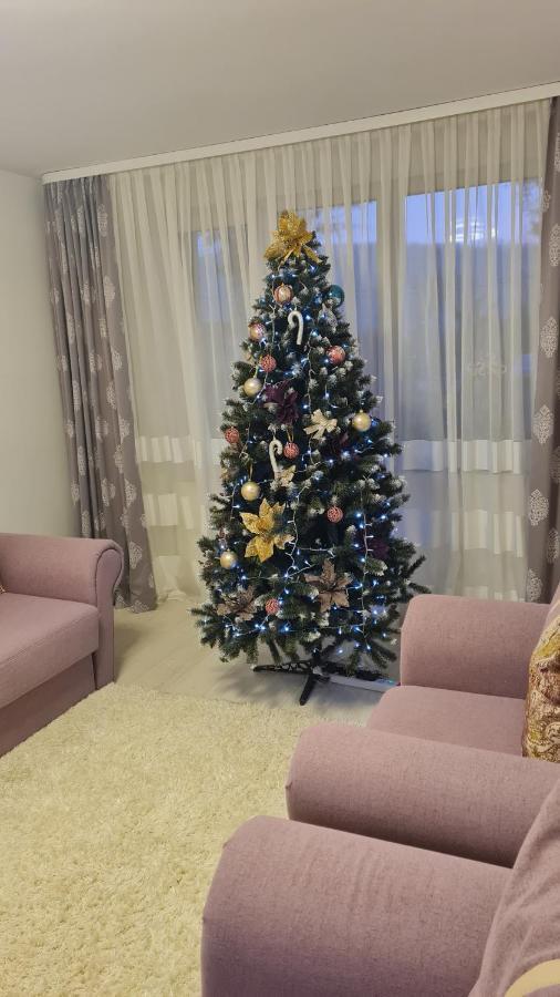 Apartament Violeta Gura Humorului Eksteriør billede